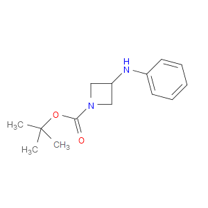 TERT-BUTYL 3-(PHENYLAMINO)AZETIDINE-1-CARBOXYLATE