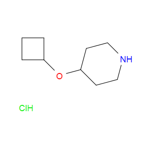 4-CYCLOBUTOXYPIPERIDINE HYDROCHLORIDE