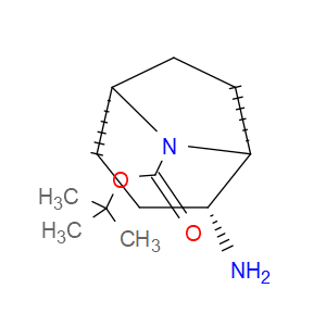 ENDO-8-BOC-8-AZABICYCLO[3.2.1]OCTAN-2-AMINE