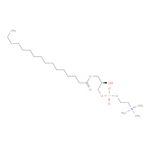 1-PALMITOYL-SN-GLYCERO-3-PHOSPHOCHOLINE
