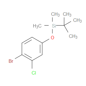 (4-BROMO-3-CHLOROPHENOXY)(TERT-BUTYL)DIMETHYLSILANE