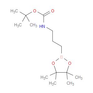 TERT-BUTYL N-[3-(TETRAMETHYL-1,3,2-DIOXABOROLAN-2-YL)PROPYL]CARBAMATE