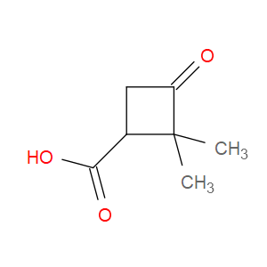 2,2-DIMETHYL-3-OXOCYCLOBUTANECARBOXYLIC ACID