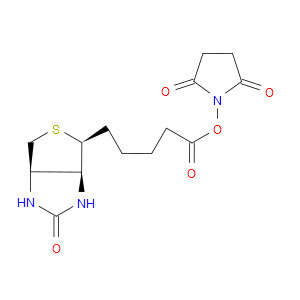 (+)-BIOTIN N-HYDROXYSUCCINIMIDE ESTER