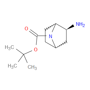 (1R,2S,4S)-REL-2-AMINO-7-BOC-7-AZABICYCLO[2.2.1]HEPTANE