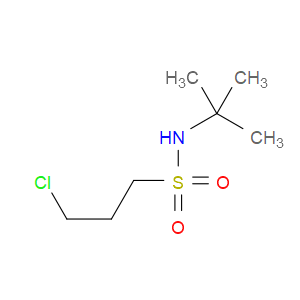 N-TERT-BUTYL-3-CHLOROPROPANE-1-SULFONAMIDE