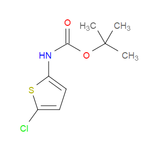 TERT-BUTYL (5-CHLOROTHIOPHEN-2-YL)CARBAMATE - Click Image to Close