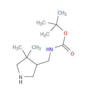 TERT-BUTYL N-[(4,4-DIMETHYLPYRROLIDIN-3-YL)METHYL]CARBAMATE - Click Image to Close