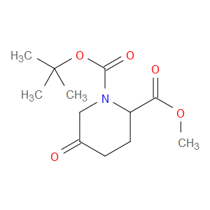 1-TERT-BUTYL 2-METHYL 5-OXOPIPERIDINE-1,2-DICARBOXYLATE