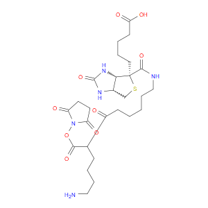 BIOTINAMIDOHEXANOYL-6-AMINOHEXANOIC ACID N-HYDROXYSUCCINIMIDE ESTER