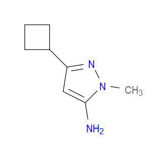 3-CYCLOBUTYL-1-METHYL-1H-PYRAZOL-5-AMINE