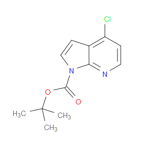 TERT-BUTYL 4-CHLORO-1H-PYRROLO[2,3-B]PYRIDINE-1-CARBOXYLATE