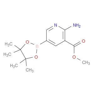 METHYL 2-AMINO-5-(4,4,5,5-TETRAMETHYL-1,3,2-DIOXABOROLAN-2-YL)NICOTINATE