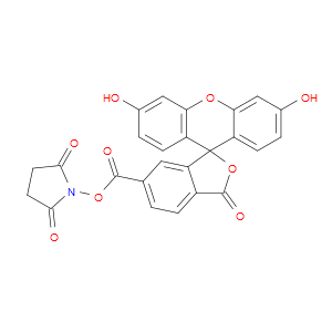 6-CARBOXYFLUORESCEIN N-SUCCINIMIDYL ESTER - Click Image to Close