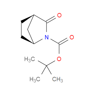 TERT-BUTYL (1S)-3-OXO-2-AZABICYCLO[2.2.1]HEPTANE-2-CARBOXYLATE - Click Image to Close