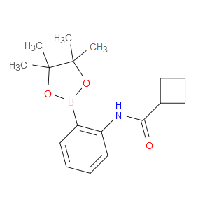 N-[2-(4,4,5,5-TETRAMETHYL-1,3,2-DIOXABOROLAN-2-YL)PHENYL]CYCLOBUTANECARBOXAMIDE