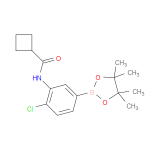N-[2-CHLORO-5-(4,4,5,5-TETRAMETHYL-1,3,2-DIOXABOROLAN-2-YL)PHENYL]CYCLOBUTANECARBOXAMIDE
