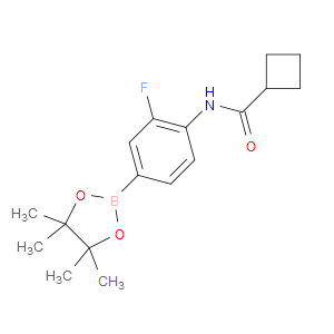 N-[2-FLUORO-4-(TETRAMETHYL-1,3,2-DIOXABOROLAN-2-YL)PHENYL]CYCLOBUTANECARBOXAMIDE - Click Image to Close