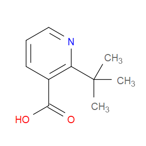 2-TERT-BUTYLPYRIDINE-3-CARBOXYLIC ACID
