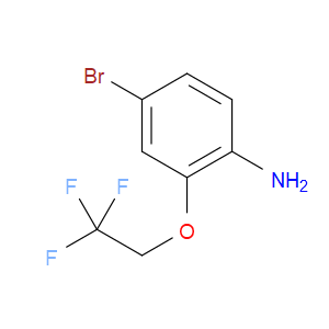 4-BROMO-2-(2,2,2-TRIFLUOROETHOXY)ANILINE
