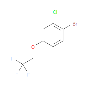 1-BROMO-2-CHLORO-4-(2,2,2-TRIFLUOROETHOXY)BENZENE