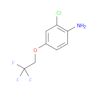 2-CHLORO-4-(2,2,2-TRIFLUOROETHOXY)ANILINE