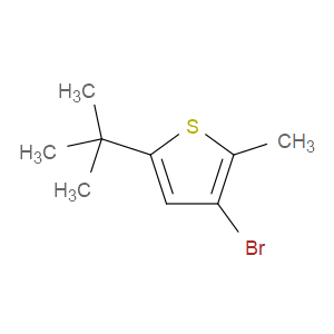 3-BROMO-5-(TERT-BUTYL)-2-METHYLTHIOPHENE - Click Image to Close