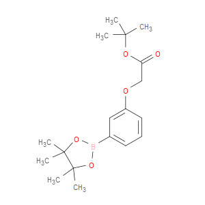[3-(4,4,5,5-TETRAMETHYL-[1,3,2]DIOXABOROLAN-2-YL)-PHENOXY]-ACETIC ACID TERT-BUTYL ESTER