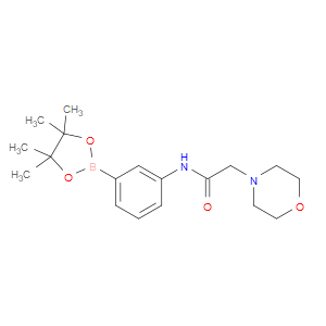 2-(MORPHOLIN-4-YL)-N-[3-(4,4,5,5-TETRAMETHYL-1,3,2-DIOXABOROLAN-2-YL)PHENYL]ACETAMIDE