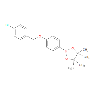 2-[4-(4-CHLORO-BENZYLOXY)-PHENYL]-4,4,5,5-TETRAMETHYL-[1,3,2]DIOXABOROLANE