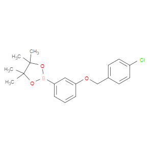 1,3,2-DIOXABOROLANE, 2-[3-[(4-CHLOROPHENYL)METHOXY]PHENYL]-4,4,5,5-TETRAMETHYL-