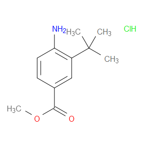 METHYL 4-AMINO-3-(TERT-BUTYL)BENZOATE HYDROCHLORIDE - Click Image to Close