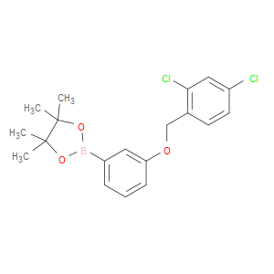 1,3,2-DIOXABOROLANE, 2-[3-[(2,4-DICHLOROPHENYL)METHOXY]PHENYL]-4,4,5,5-TETRAMETHYL- - Click Image to Close