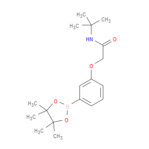 ACETAMIDE, N-(1,1-DIMETHYLETHYL)-2-[3-(4,4,5,5-TETRAMETHYL-1,3,2-DIOXABOROLAN-2-YL)PHENOXY]- - Click Image to Close