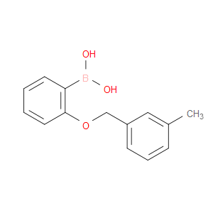 2-(3-METHYLBENZYLOXY)PHENYLBORONIC ACID
