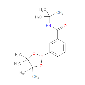 BENZAMIDE, N-(1,1-DIMETHYLETHYL)-3-(4,4,5,5-TETRAMETHYL-1,3,2-DIOXABOROLAN-2-YL)-