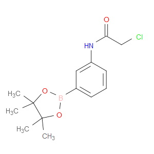2-CHLORO-N-(3-(4,4,5,5-TETRAMETHYL-1,3,2-DIOXABOROLAN-2-YL)PHENYL)ACETAMIDE - Click Image to Close