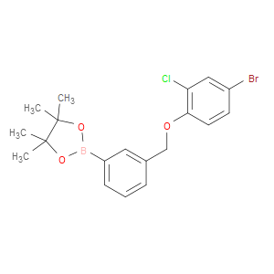 2-(3-((4-BROMO-2-CHLOROPHENOXY)METHYL)PHENYL)-4,4,5,5-TETRAMETHYL-1,3,2-DIOXABOROLANE - Click Image to Close