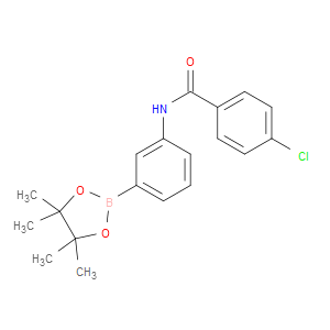 4-CHLORO-N-(3-(4,4,5,5-TETRAMETHYL-1,3,2-DIOXABOROLAN-2-YL)PHENYL)BENZAMIDE - Click Image to Close