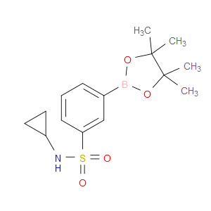 N-CYCLOPROPYL-3-(4,4,5,5-TETRAMETHYL-1,3,2-DIOXABOROLAN-2-YL)BENZENESULFONAMIDE